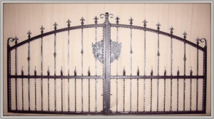 Aire Wrought Iron Driveway Gate